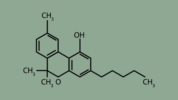 CBN, CBC, CBG and THCV: minor cannabinoids | SQDC